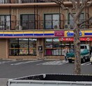 ミニストップ 町田和光学園前店(コンビニ)まで347m アウステル