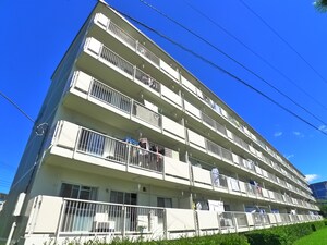 高洲第二団地(408)