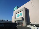 ニトリ横須賀店(電気量販店/ホームセンター)まで1608m アム－ル・グリ－ンヒルⅠ