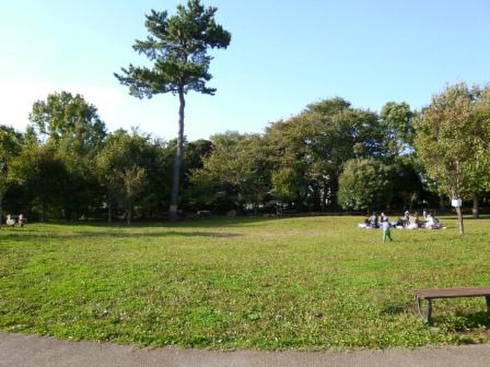 三宿の森緑地(公園)まで400m ソフィータMISHUKU