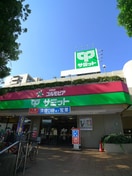 サミット(スーパー)まで258m レジデンス エイノ