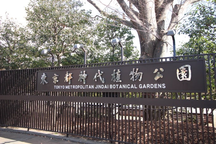 神代植物公園(公園)まで1000m グリ―ンパ―ク