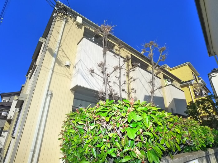 外観写真 ＡＤＯＮＩＳ　ＨＯＵＳＥ