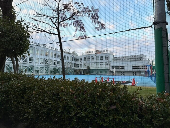 墨田区立言問小学校(小学校)まで252m SYFORME NEXT MUKOJIMA