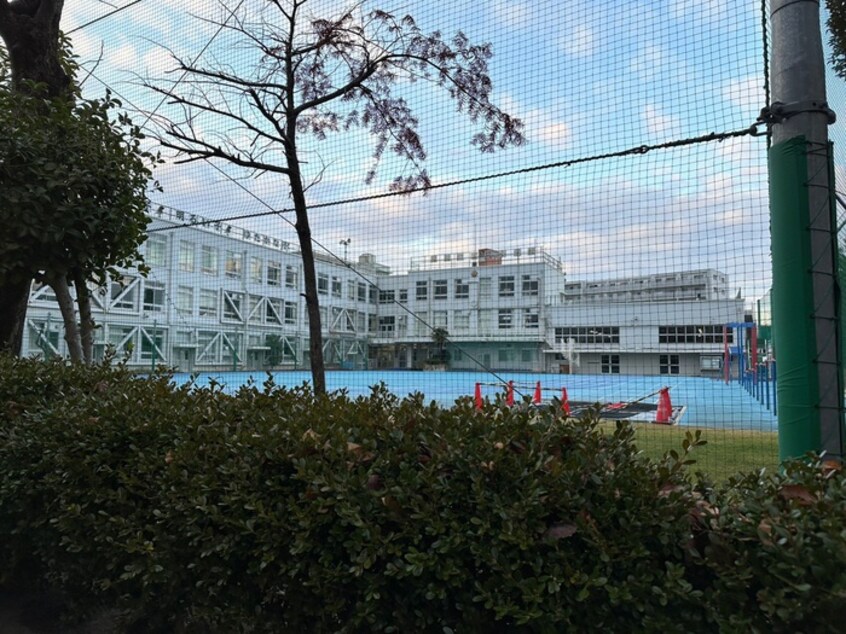 墨田区立言問小学校(小学校)まで252m SYFORME NEXT MUKOJIMA