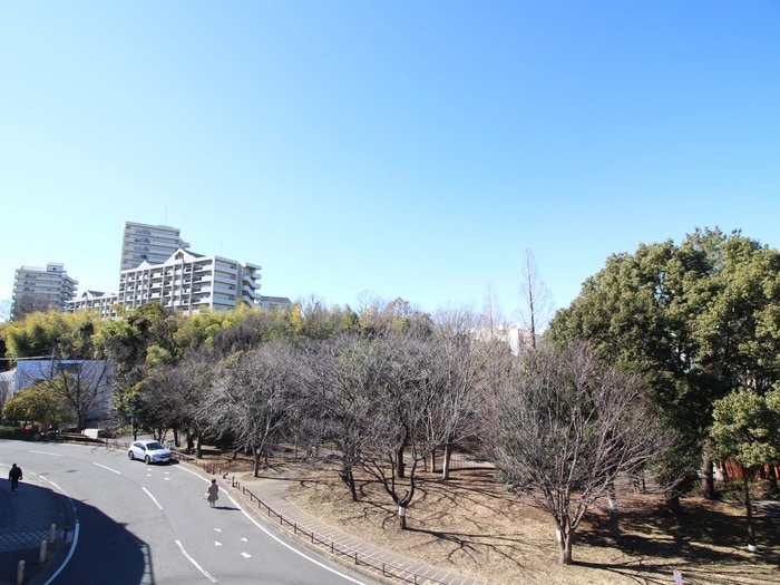 室内からの展望 ベニシア