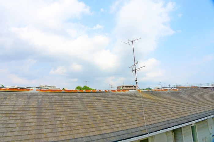 室内からの展望 Ｍａｉｓｏｎ　ＦＬＥＵＲ