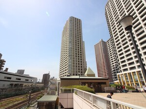 ザ・ハシモトタワ－(809)