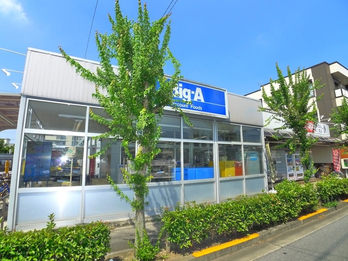 Big-A(ディスカウントショップ)まで278m Ambition花畑