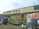 ビバホーム(電気量販店/ホームセンター)まで500m ガ－デンシティ２１