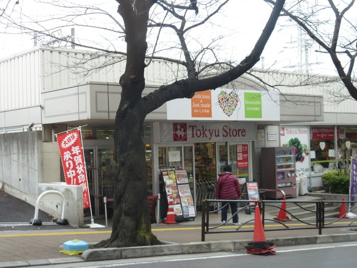 宮崎台 東急ストア(スーパー)まで290m ガーデンテラス宮崎台