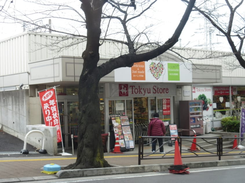 宮崎台 東急ストア(スーパー)まで290m ガーデンテラス宮崎台