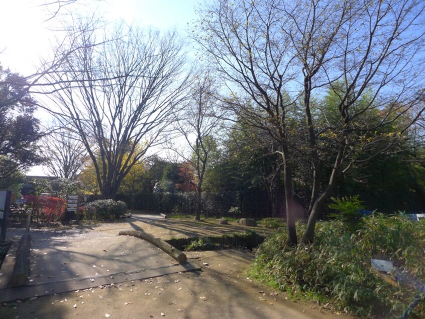 次大夫堀公園(公園)まで486m 戸上邸