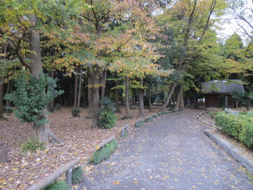 芹沢公園(公園)まで1800m ベルピアかしわ台第２