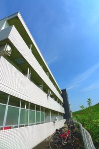 ｳｲﾝﾍﾞﾙｿﾛｶﾜｸﾞﾁﾀﾞｲｻﾝ