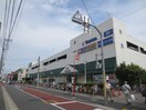 ヤマダ電機(電気量販店/ホームセンター)まで334m いよやハイム