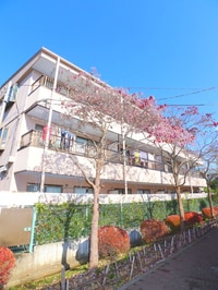 グレ－スコ－ト寿能