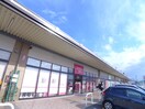 ダイソー(100均)まで74m ミレーネ稲毛海岸