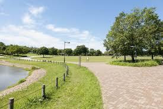 武蔵野の森公園(公園)まで350m パ－クヒルズ