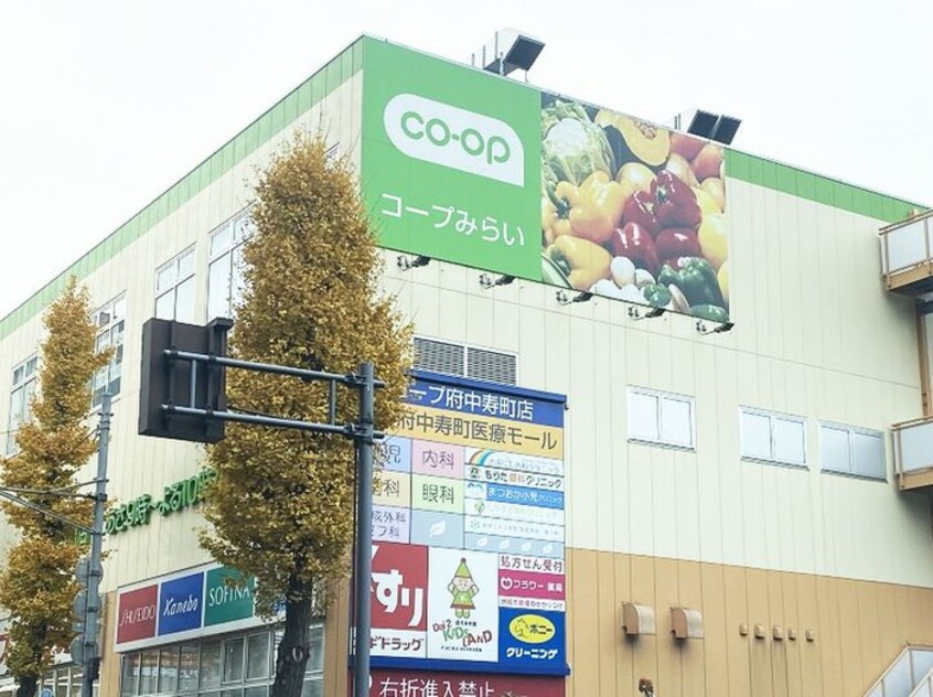 コープみらい コープ府中寿町店(スーパー)まで750m シャルマン府中