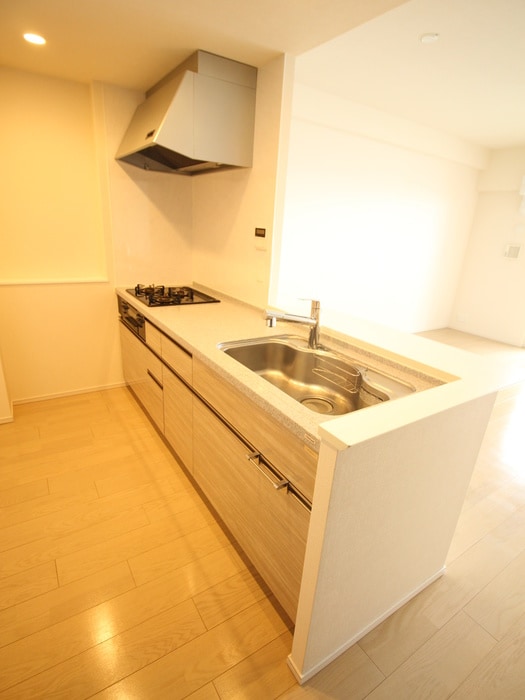 キッチン ﾘﾋﾞｵﾀﾜｰ小田急相模原(1704)