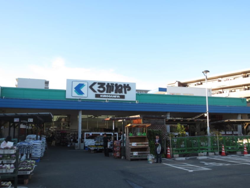 くろがねや(電気量販店/ホームセンター)まで1000m エステートフィガロ