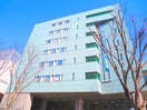 杉並区役所(役所)まで717m くるみ荘