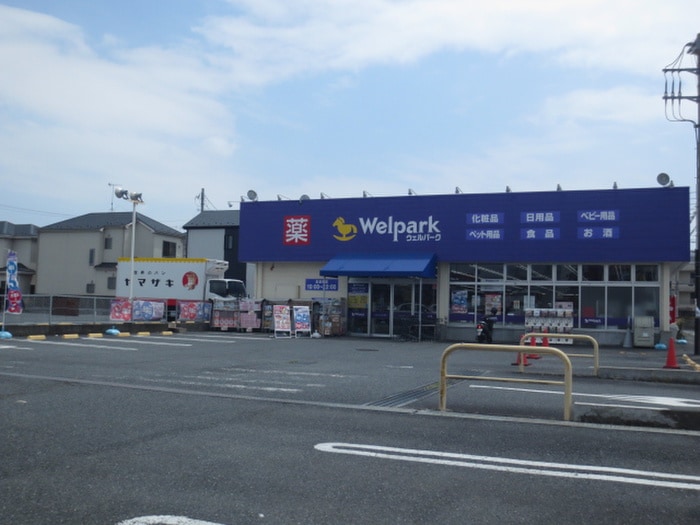 Welpark綾瀬上土棚南店(ドラッグストア)まで367m ソレイユ
