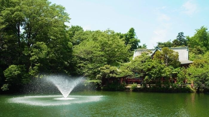 井の頭公園(公園)まで200m 吉祥寺御殿山ﾃﾞｭ-ﾌﾟﾚｯｸｽﾘｽﾞ