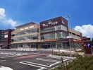 ヤオコー和光丸山台店(スーパー)まで359m 牧島マンション