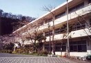 今泉小学校(小学校)まで450m 鎌倉ペット・ガ－デン