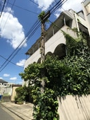 外観写真 シャ－レ－シバタ