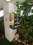 建物設備 シャ－レ－シバタ