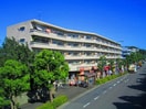 周辺環境 パインクレスト１番館