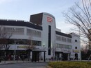 オーケーストア(スーパー)まで948m パインクレスト１番館
