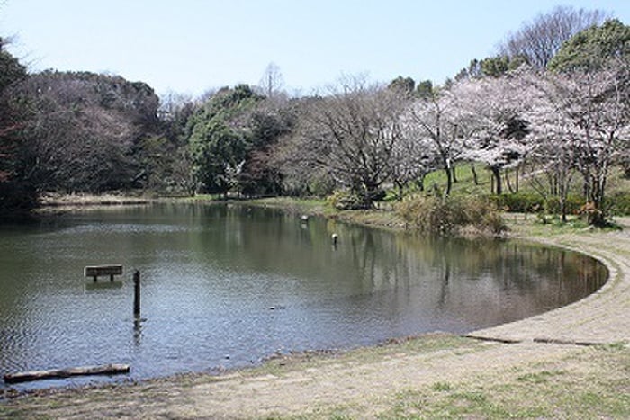 鴨池公園(公園)まで381m パインクレスト１番館