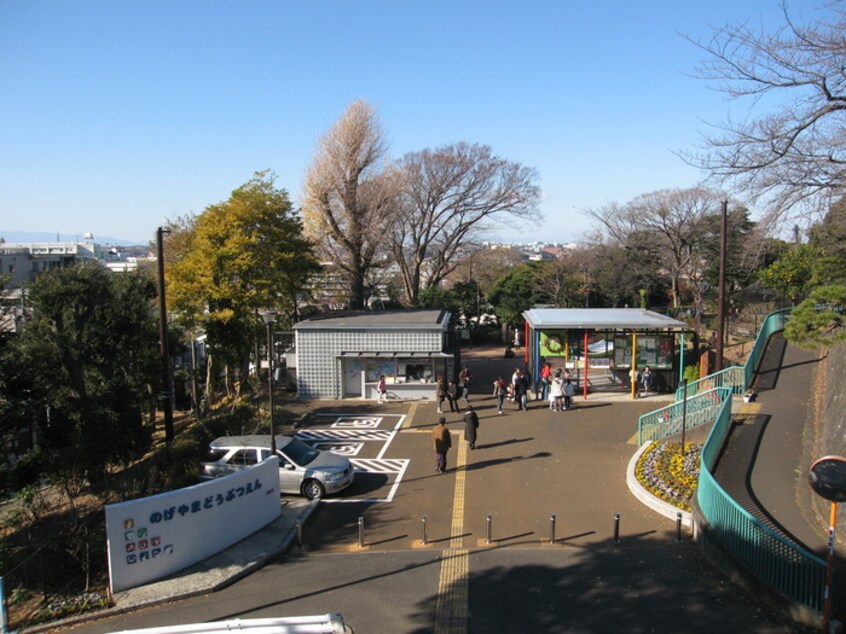 横浜市立野毛山動物園(公園)まで650m カスタリア野毛山