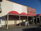 ユーコープ ミアクチーナ柳島店(スーパー)まで1177m myair茅ヶ崎中島戸建