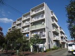 朝日プラザ西調布（105）