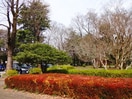 小金井公園(公園)まで325m 桜堤オリエントプラザ