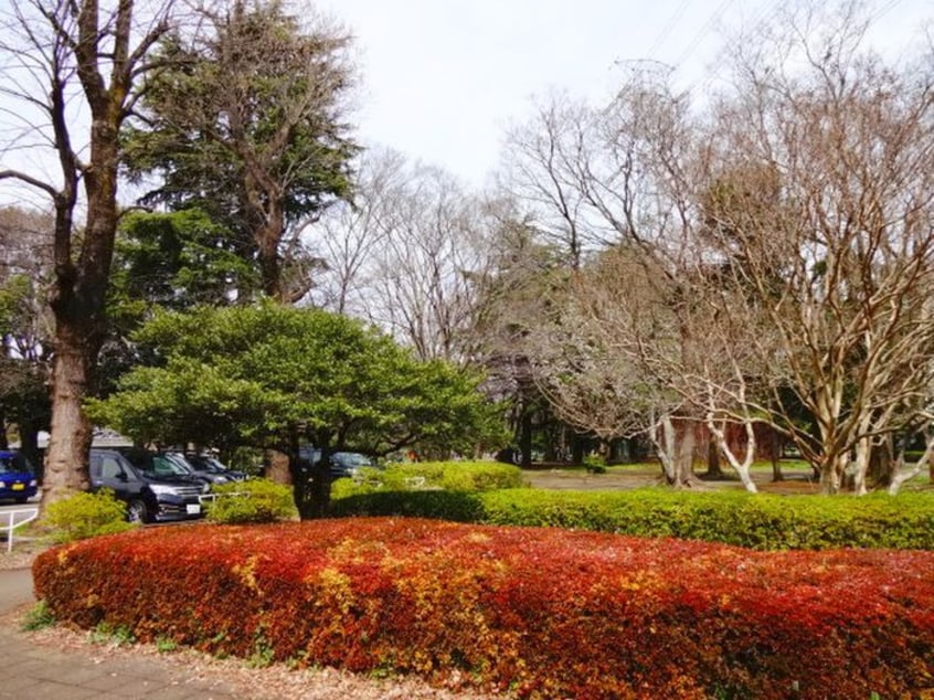 小金井公園(公園)まで325m 桜堤オリエントプラザ