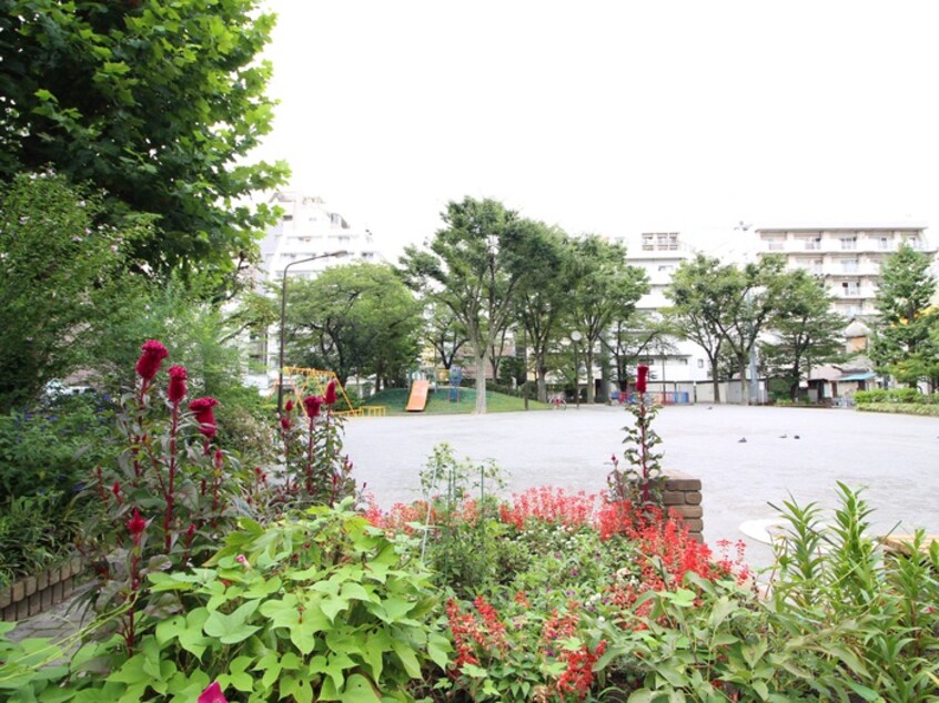 亀戸東公園(公園)まで60m ドゥーエ亀戸Ⅱ