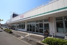 クリエイトSD柳町高田店(ドラッグストア)まで500m ファミリーテラス川久保Ⅰ