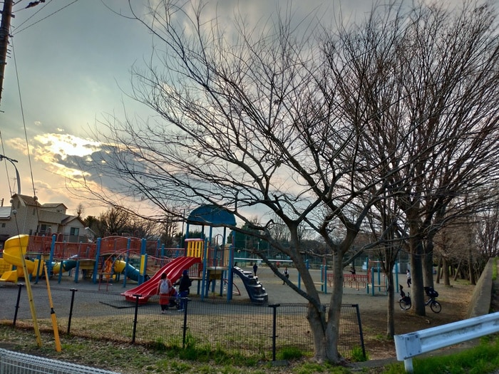 稲田公園(公園)まで400m フェリーチェ
