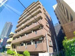 ｳﾞｪﾙﾄｳｫ-ﾀ-ﾌﾛﾝﾄ(702)