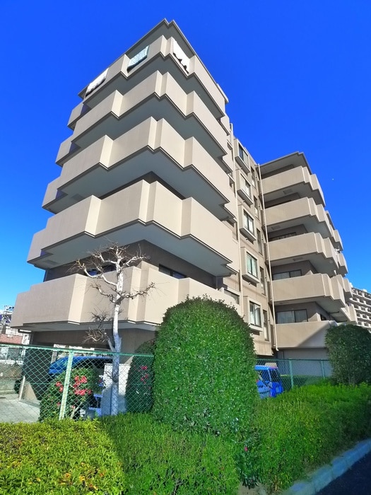 周辺環境 コスモ南柏