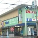 ウェルパーク薬局小金井緑町店(ドラッグストア)まで850m メゾンＫＪＳ