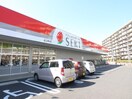 ＳＥＫＩ(ドラッグストア)まで297m 向陽町貸家