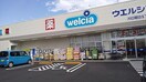 ウエルシア(ドラッグストア)まで80m 朝日６丁目戸建