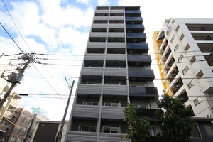 ｱﾙﾃｼﾓ ﾘｭｸｽ(601)